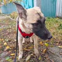 Margo se trouve dans un refuge en ukraine #4