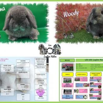 Mariages prévus prochainement #0