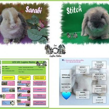 Mariages prévus prochainement #3