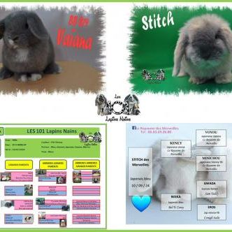 Mariages prévus prochainement #5