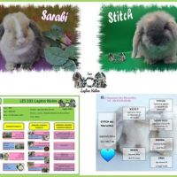 Mariages prévus prochainement #3