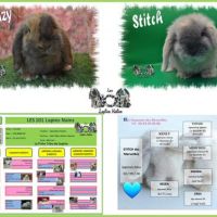 Mariages prévus prochainement #4