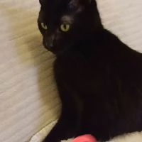 Pistache cache un cœur immense sous sa timidité