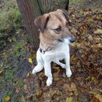 Redmi se trouve dans un refuge en ukraine #2