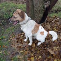 Redmi se trouve dans un refuge en ukraine #3