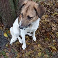 Redmi se trouve dans un refuge en ukraine #4