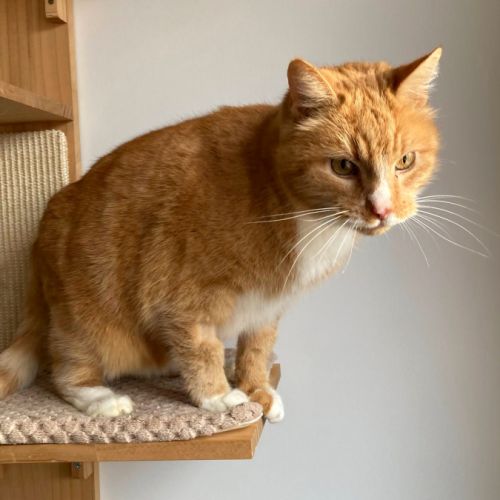 Prosper dit papy suze #0