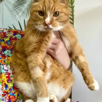 Prosper dit papy suze #1