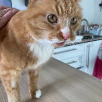 Prosper dit papy suze #3