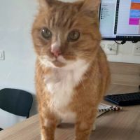 Prosper dit papy suze #4