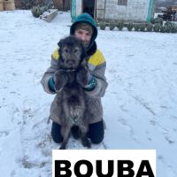 Bouba se trouve dans un refuge en ukraine #3