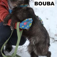 Bouba se trouve dans un refuge en ukraine #5