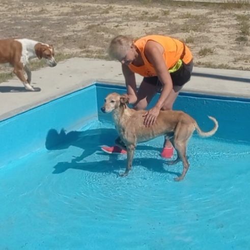 Logan 8 ans, une crème de chien ! #5