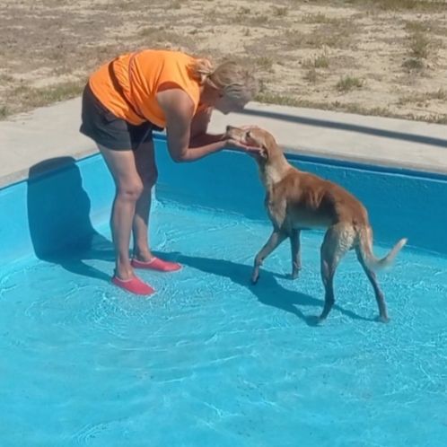 Logan 8 ans, une crème de chien ! #6