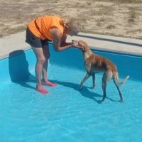 Logan 8 ans, une crème de chien ! #6