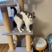 Biscotte- un amour à croquer ! #6