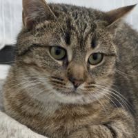 Filouette- adorable junior #2