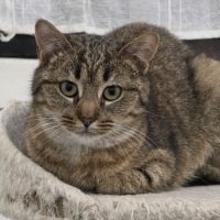 Filouette- adorable junior