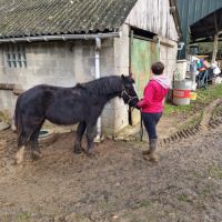 Entier 2 ans irich cob #4