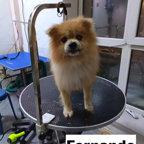 Fernando se trouve dans un refuge en chine #2