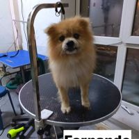 Fernando se trouve dans un refuge en chine #2