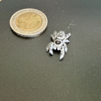 Phiduppus regius #5