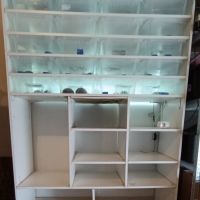 Gecko léopard et rack d'elevage #3