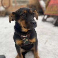 Alma se trouve dans un refuge en ukraine #1