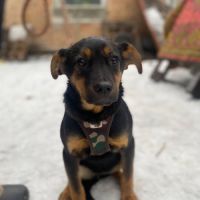 Alma se trouve dans un refuge en ukraine #0