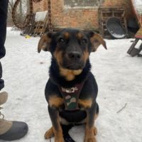 Alma se trouve dans un refuge en ukraine #3