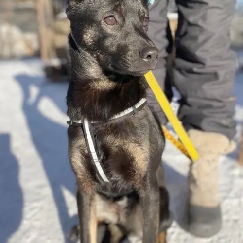 Kira se trouve dans un refuge en ukraine #1