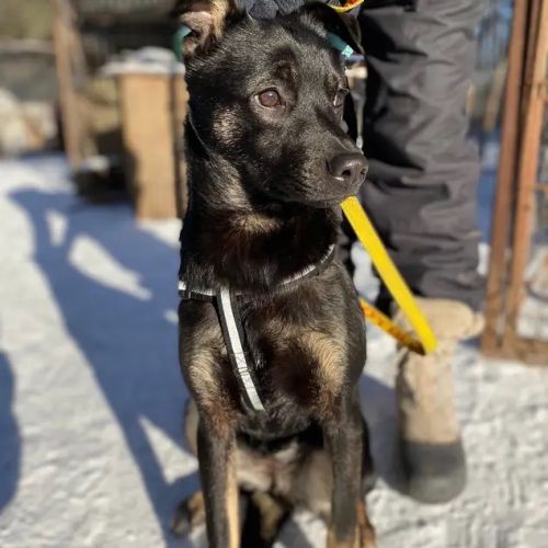 Kira se trouve dans un refuge en ukraine #2