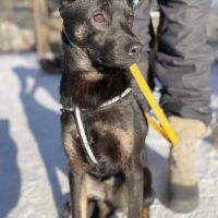 Kira se trouve dans un refuge en ukraine #1