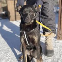 Kira se trouve dans un refuge en ukraine #3