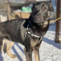 Kira se trouve dans un refuge en ukraine