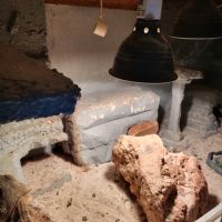 Vend pogona + terrarium tout equipé #5