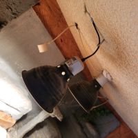 Vend pogona + terrarium tout equipé #6