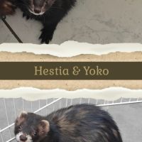 Pré-réservation #3