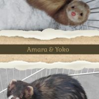 Pré-réservation #6