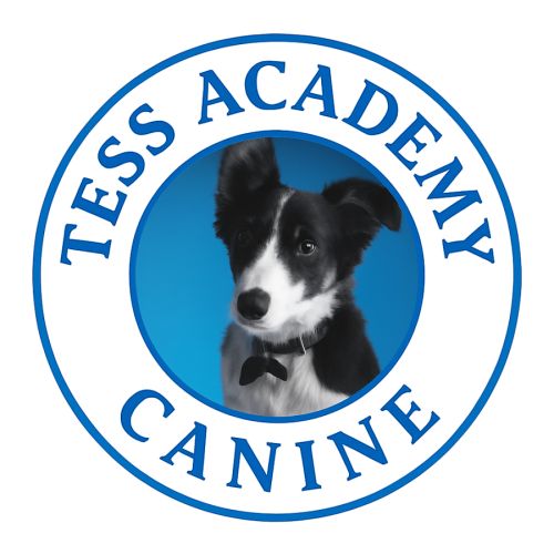 Comportementaliste et éducateur canin #0