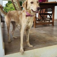 Suzie la belle et douce louloute #7