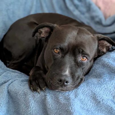 Paty, créole adorable #1