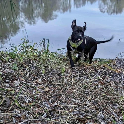 Paty, créole adorable #4