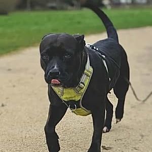 Paty, créole adorable #0