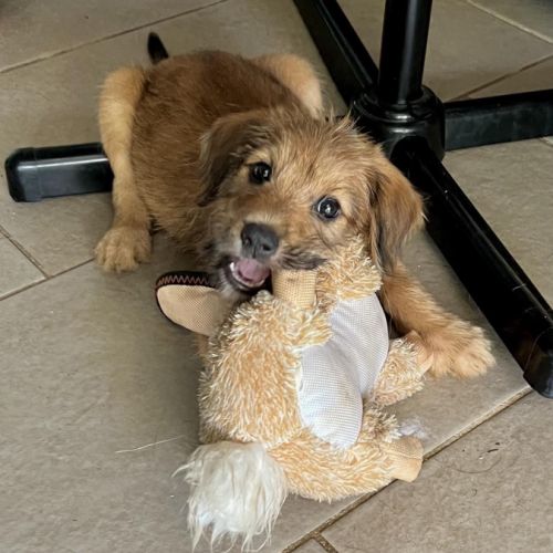 Youpi, un bébé génial #2