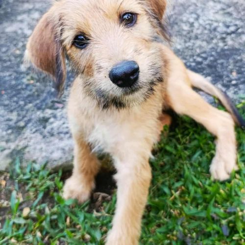 Youpi, un bébé génial #9