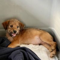 Youpi, un bébé génial #1