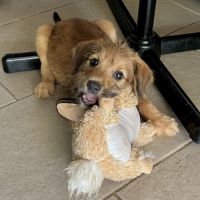 Youpi, un bébé génial #2