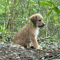 Youpi, un bébé génial #3