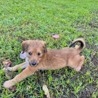 Youpi, un bébé génial #5